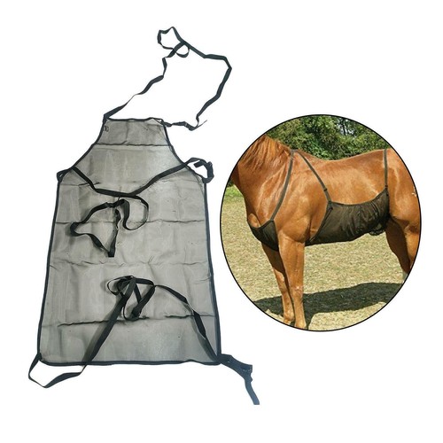 Horse fly sheet - horse, belly