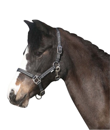 Horse guard rio halfter - guard,