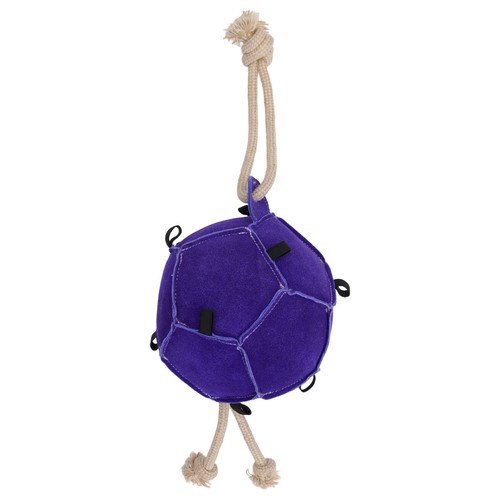 Horse guard spiel - guard, spiel-ball,