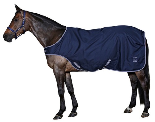 Horse guard walker - horse,