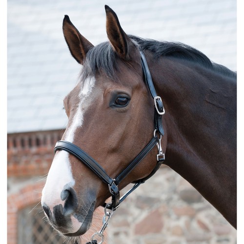 Horse guard lederhalfter - lederhalfter,
