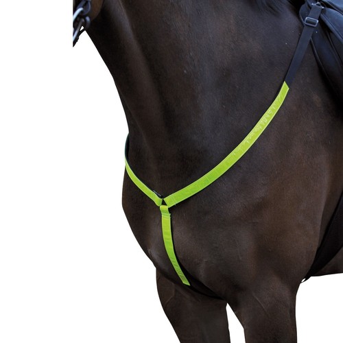 Horse guard reflex vorderzeug - horse,