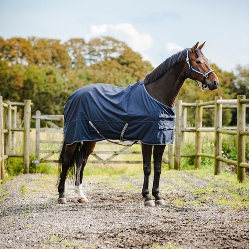 Horse guard turnout - horse,