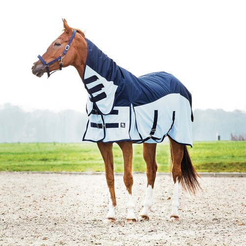 Horse guard regen - guard, regen-